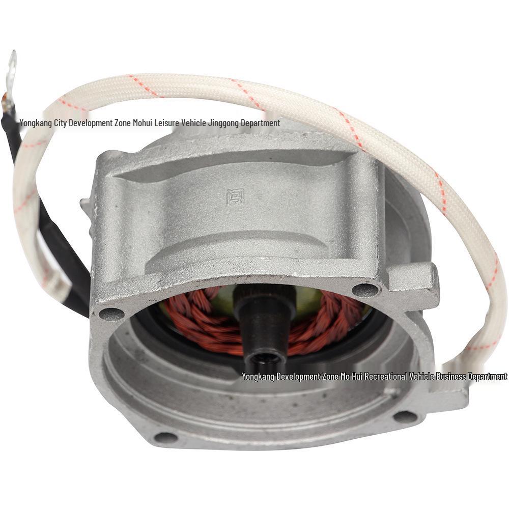 47-49cc Two-Stroke Off-road Pull Cord Starter for Motorcycle, ATV, & Beach Buggy Other sizes available