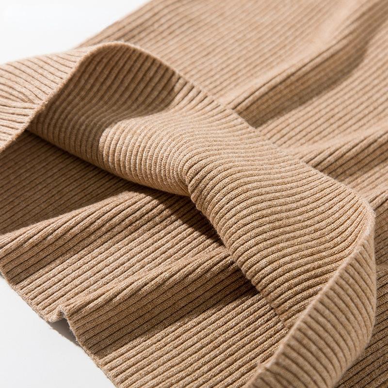 Women High Collar Sweaters Autumn Winter Slim Pullover Women Tops Casual Soft Knit Sweater Warm Turtleneck