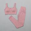Women's Solid Color Seamless Ribbed Sports Bra and High Elastic Yoga Set