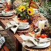 6-teilige handgewebte Rattan-Platzsets - runde gewebte Tischsets, geeignet für Esszimmer und Wohnzimmer, hitzebeständig