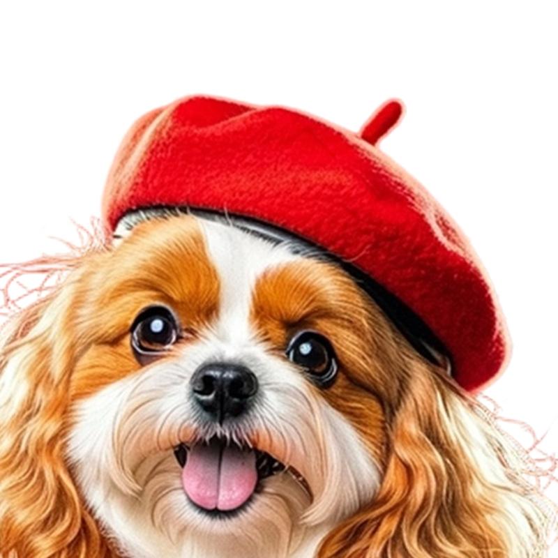 Fashion Pet Beret Hat with Unique Design Enhancing Pet Personality For Social Media Photo And Various Event Gathering