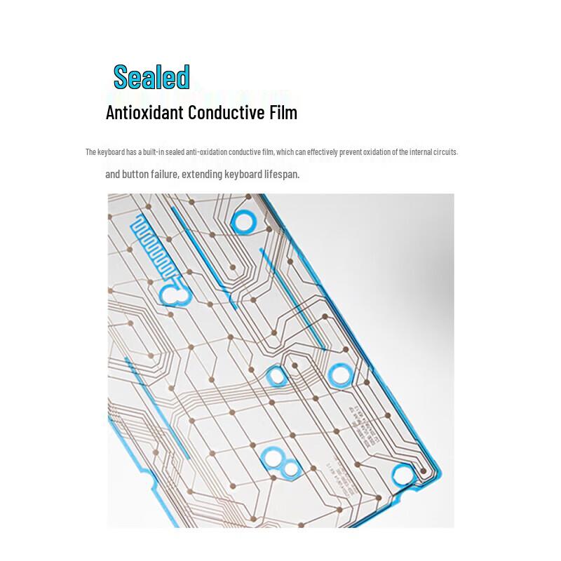 Rapoo Wired Business Keyboard Mouse Combo