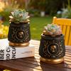 Gothic Skull Embossed Flower Pot Black Gold Resin Planter for Succulents Small Plants Home Office Desktop Window Decoration