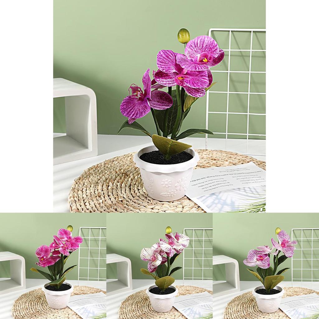 Seidenstoff Phalaenopsis Kunstblume Mit Realistischen Blüten Für Wohnzimmer Und Studio