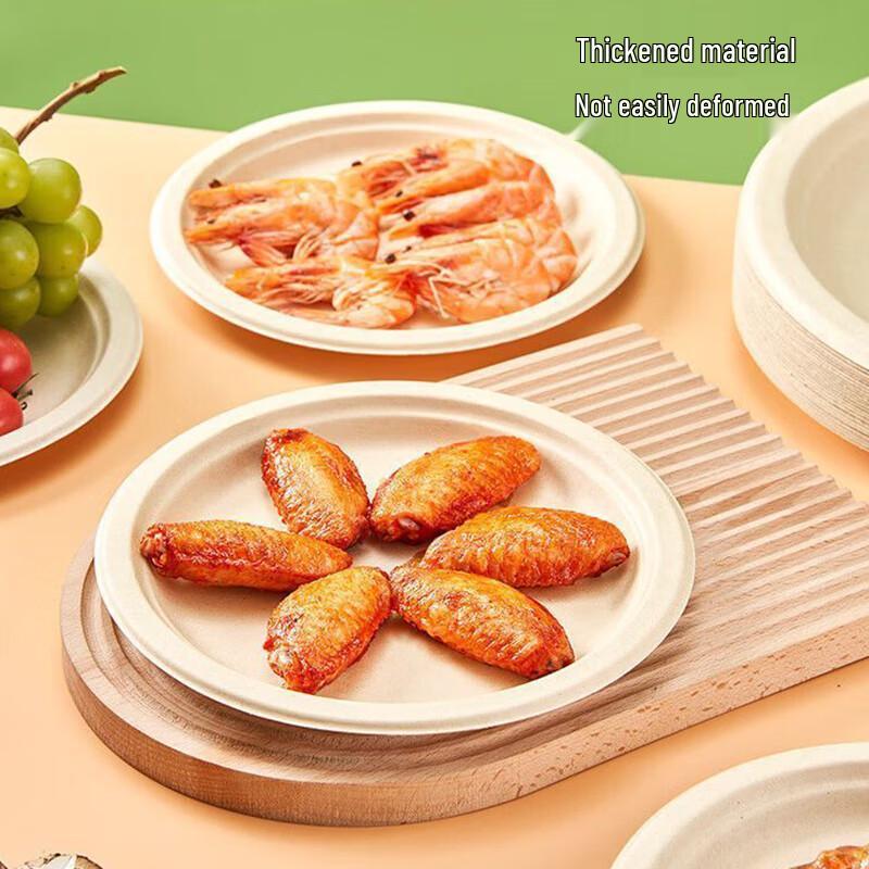 Disposable Sugarcane Pulp Paper Plates