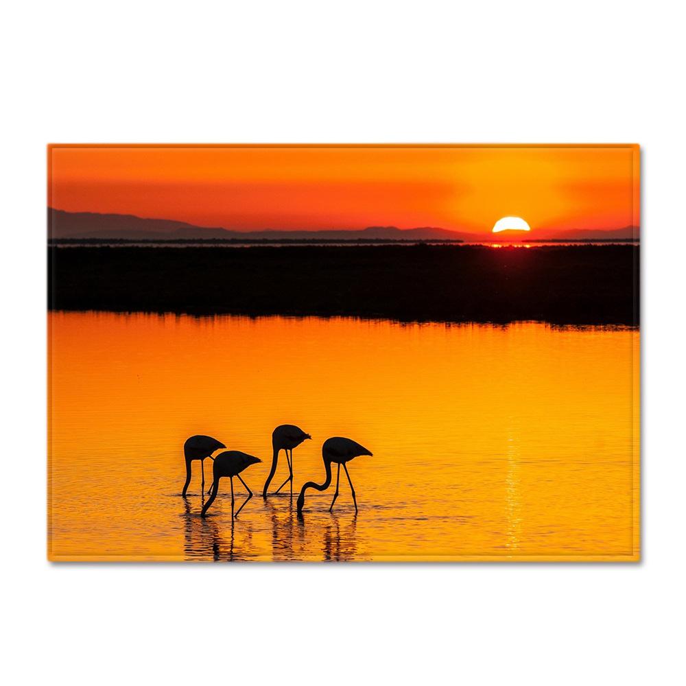 

Flamingo Large Carpet Feather Wind Bedroom Floor Mat 1.5*1