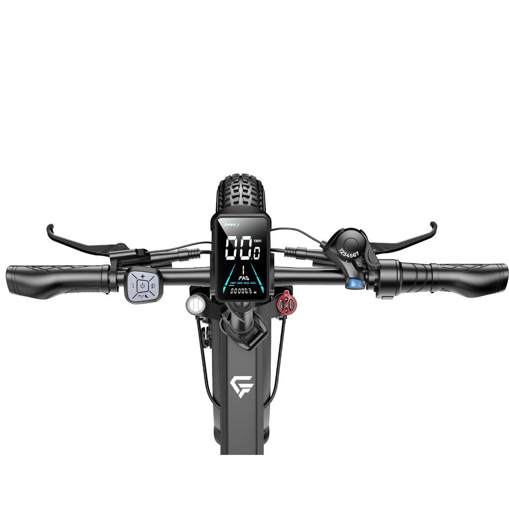 G- FORCE DE-S Urban Freight Electric Bicycle 750W Motor 48V45Ah Battery 20 Inch Fat Tires  Convenient Ride E-Bike For Adult