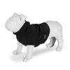 Regatta Knitted Dog Jumper