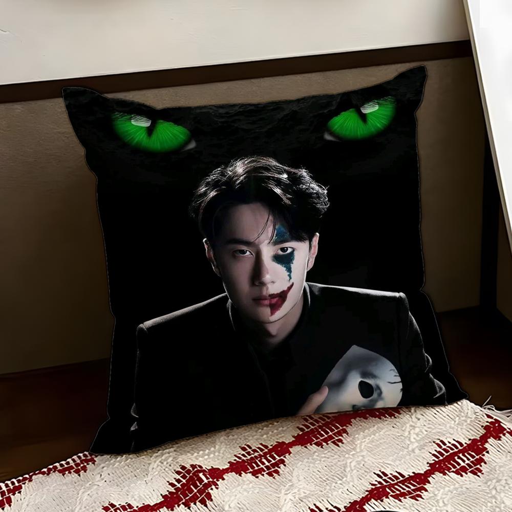 Singer WWang Yibo Cushion Cover Reversible Soft Durable Pillow Cover Home  Car MultiScene Use for Daily Comfort