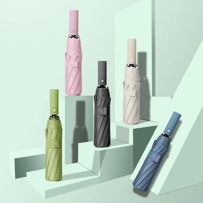 Ten-Bone Automatic Foldable Umbrella For Rain Snow Sun