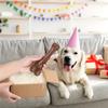 Langlebiges Rindergeschmacks-Kauspielzeug für Hunde - Interaktives Knochendesign, Robust & Sicher für Alle Rassen, Fördert die Zahngesundheit & Spielspaß