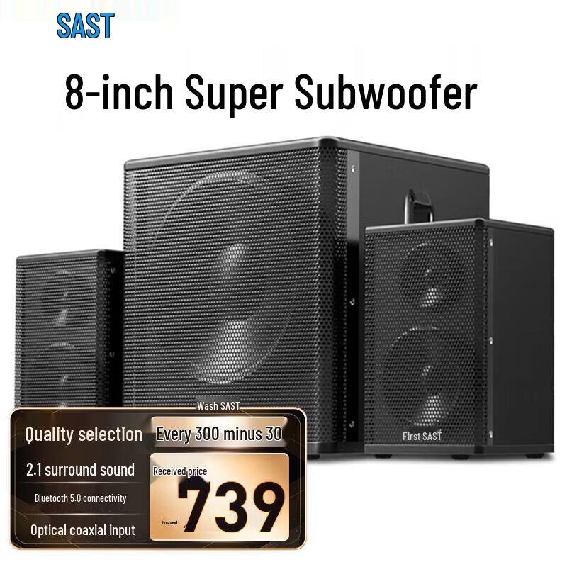 SAST A19 Home KTV Bluetooth Speaker System CN Plug (adapter Included)