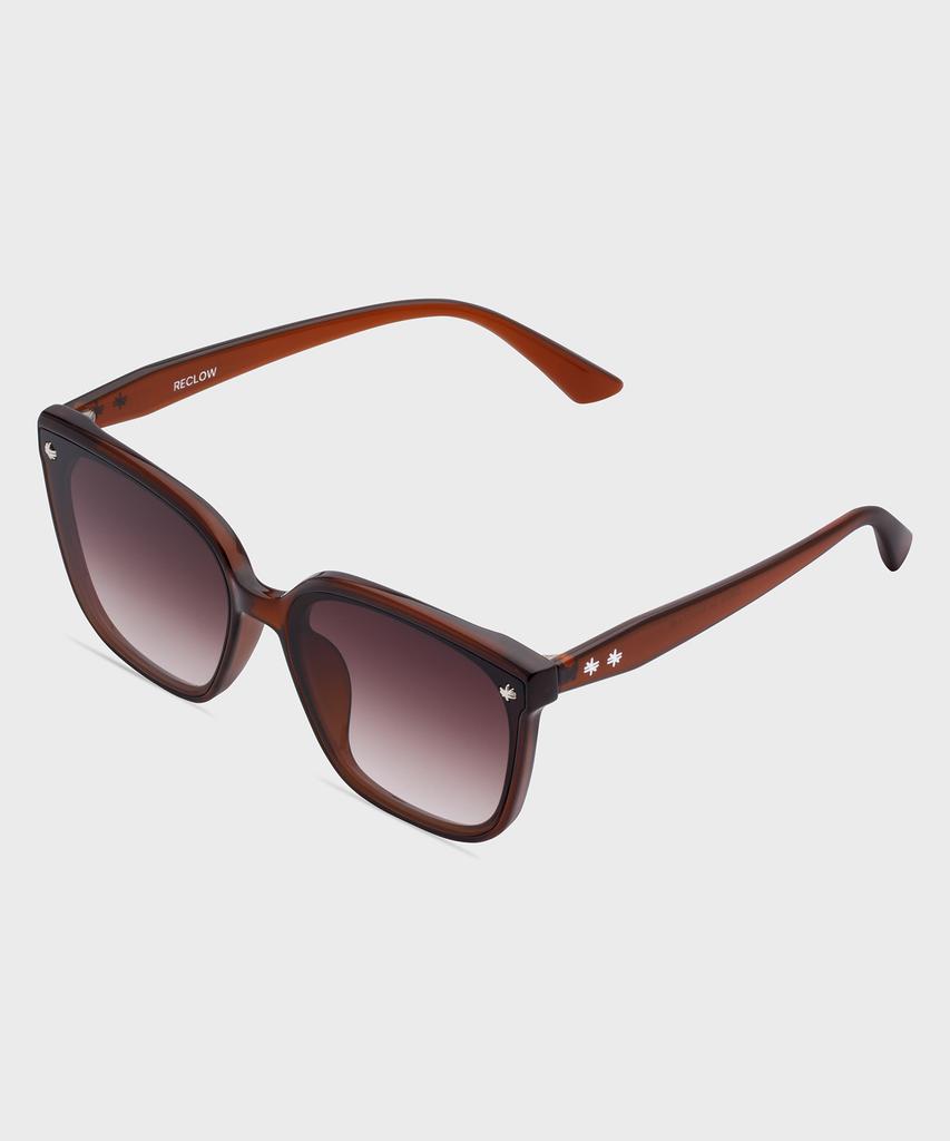 Likkeullou Rc Snow Sunglasses Brown