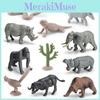 Chameleon Elephant Lion Model Collection Pvc Realistic Figures For Education And Nature Conservation Projects