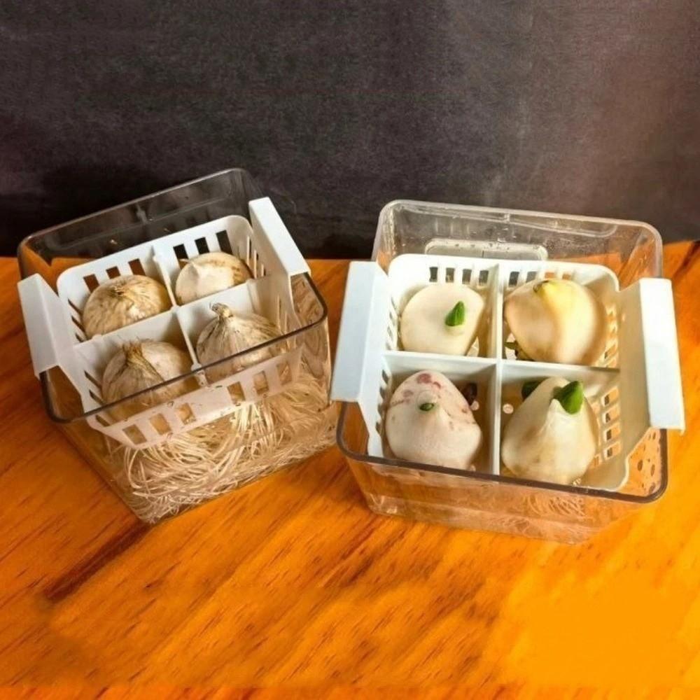 4 Grids Hydroponics Nursery Pots Planter Containers Corm Plant Growing Pots Balcony Planting
