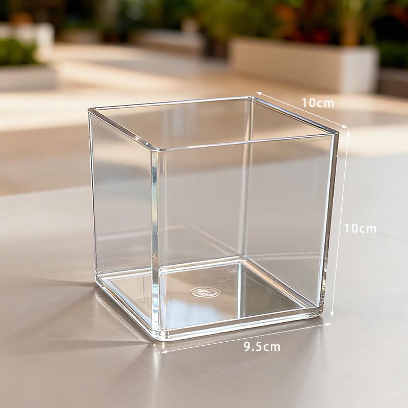 BAILOCK Transparent Square Hydroponic Vase