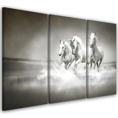 Impression sur toile en trois parties Galop des chevaux blancs