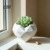 Support de plante vivant Forme de cœur géométrique Pot de fleurs, Pot de fleurs décoratif pour intérieur Design créatif Extérieur, Jardinière Amour Maison Jardin Balcon