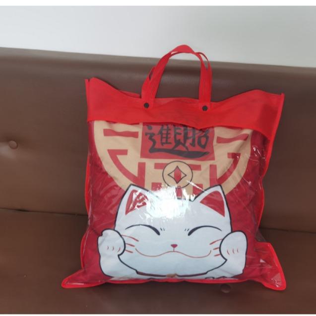 New Pillow Snake Big Red Festive Spring Festival Mascot Chinese Style Cushion New Pillow