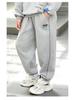 Plus Size Fleece-Lined Kids' Sweatpants: Autumn/Winter Style for Medium to Large, Chubby Girls