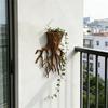 19cm 3D Printed Root Shaped Wall Mounted Plant Pot Suitable for Climbing and Trailing Plants Indoor and Outdoor Use Durable Design