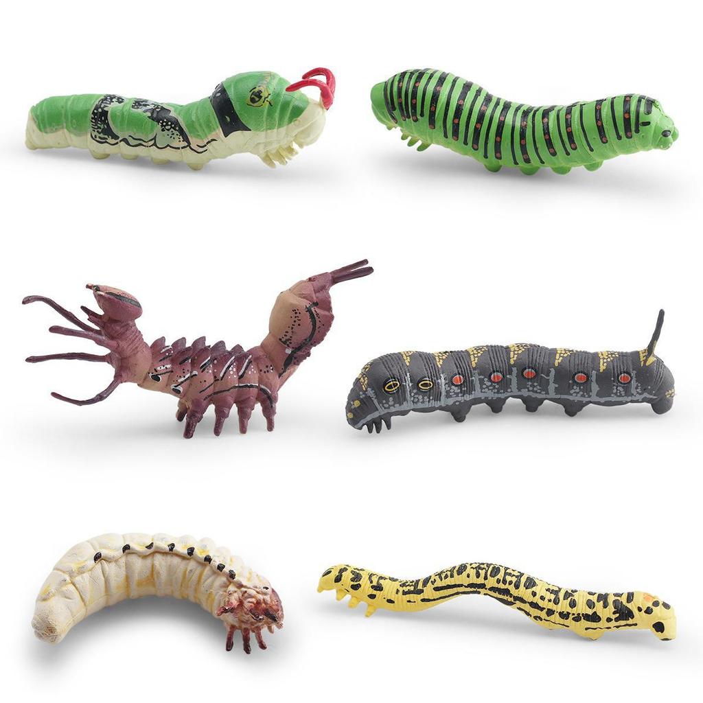 Gold Swallowtail, Geometer Moth, and Beetle Larva Toys - Cross-Border Science & Education Models for Children