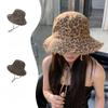 Cappelli – Panama