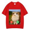Meowl Is Calling Phone Call Meme Brainrot Funny Cat Owl Tshirts Unisexs Fashion Harajuku Short Sleeves Cotton Hiphop T Shirts