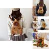 Adorable Capybara Plush Backpack For Kids Featuring Soft Short Plush Fabric