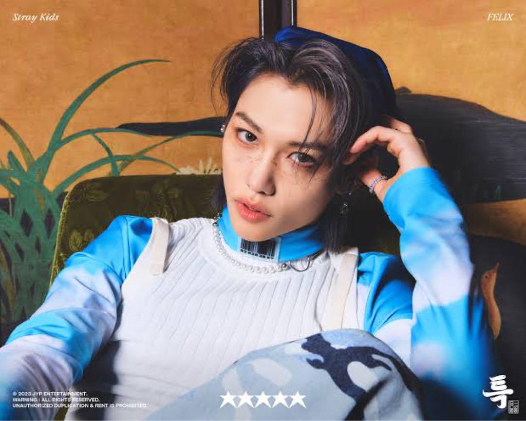 

[USED] Stray Kids Felix Tapestry