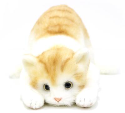 Real Series Made In Japan Realistic Cat Plush Toy 58cm Brown L with Open (Tiger Eyes)
