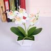 Fake Phalaenopsis Flower Bonsai Lifelike Unique Portable Real Touch Flower for Party