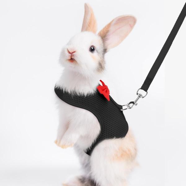 Rabbit Harness and Leash for Walking Escape Proof - Mesh Breathable Bunny Vest Harness Outdoor Camping Hiking Training - Also Suit