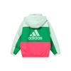 Adidas Warm Color Block Sports Hooded Down Jacket Women Jacket Green GF0015