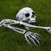 Halloween Skull Hand Arm Yard Stake Lifelike Skeleton for Head Figurine Garden Decoration Haunted House Props