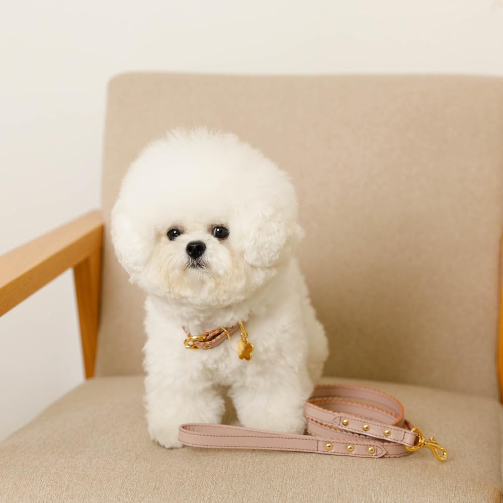 Wavy Flower Charm Leather Collar for Small To Medium Dogs Genuine Cowhide Adjustable Perfect for Walks and Outings Monchéri Dogs, (M/Pink),