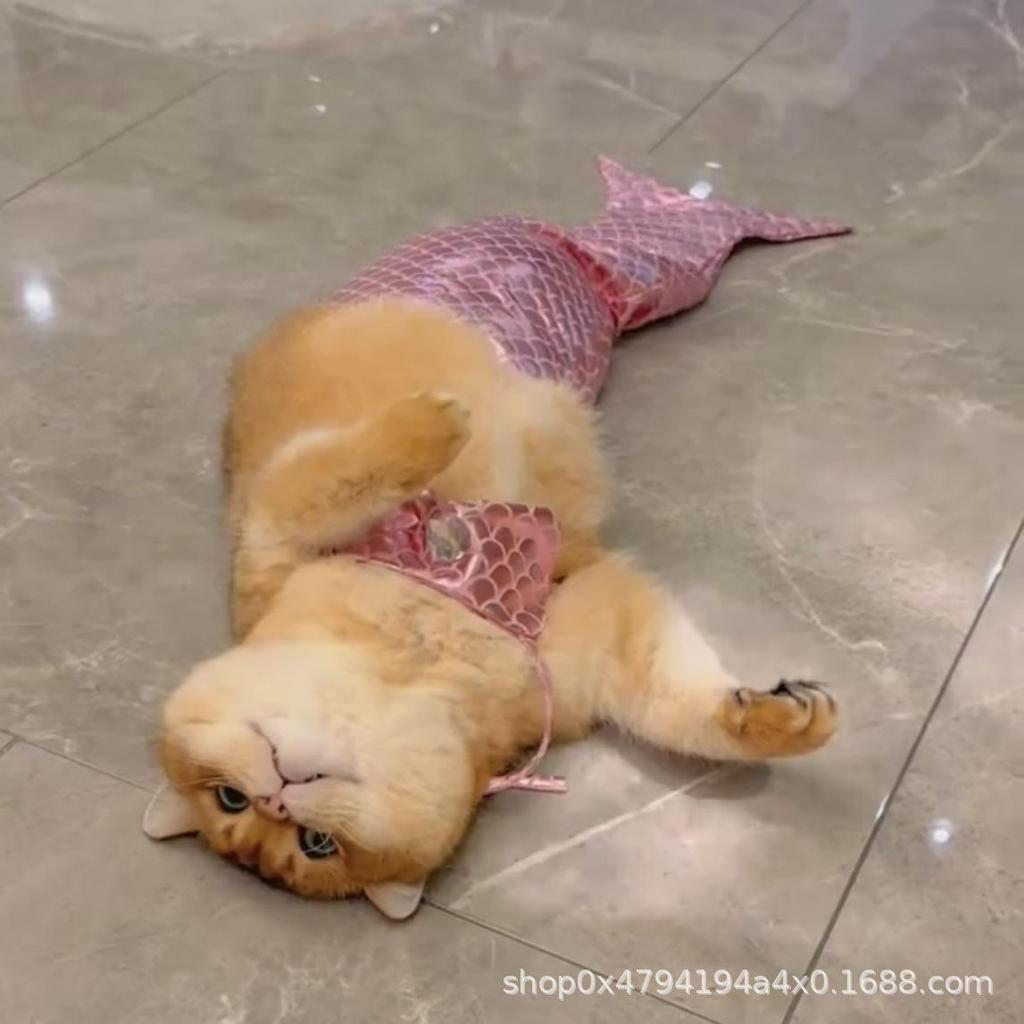 Mermaid Tail Cat Costume: Funny Swimsuit Bikini Prop for Modeling and Photoshoots.