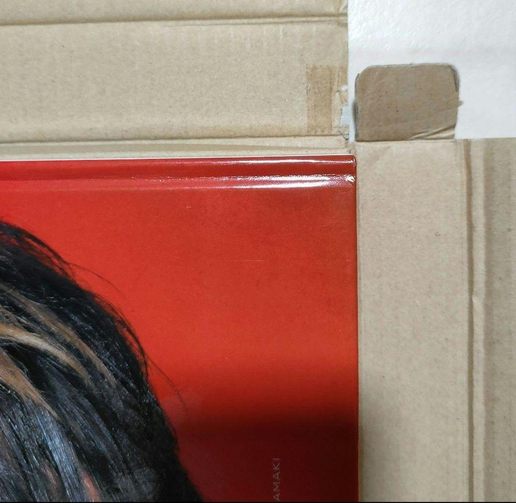 [USED] Hiroshi Tamaki COLOR Photobook Box, DVD, Collection, File, Memo, Poster