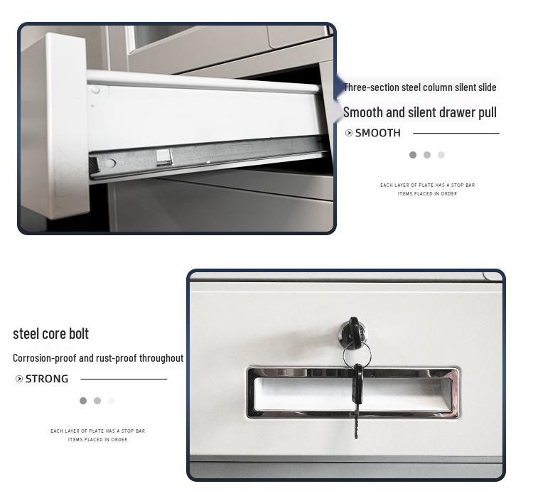 Locking Steel Filing Cabinet with Drawers for Financial Data and Vouchers