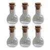 6Pcs Mini Glass Bottles with Cork Bottle Wishing Bottle Little