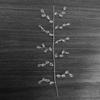 Crystl Bed String DIY Photo Props for Festivl Thnksgiving Decor