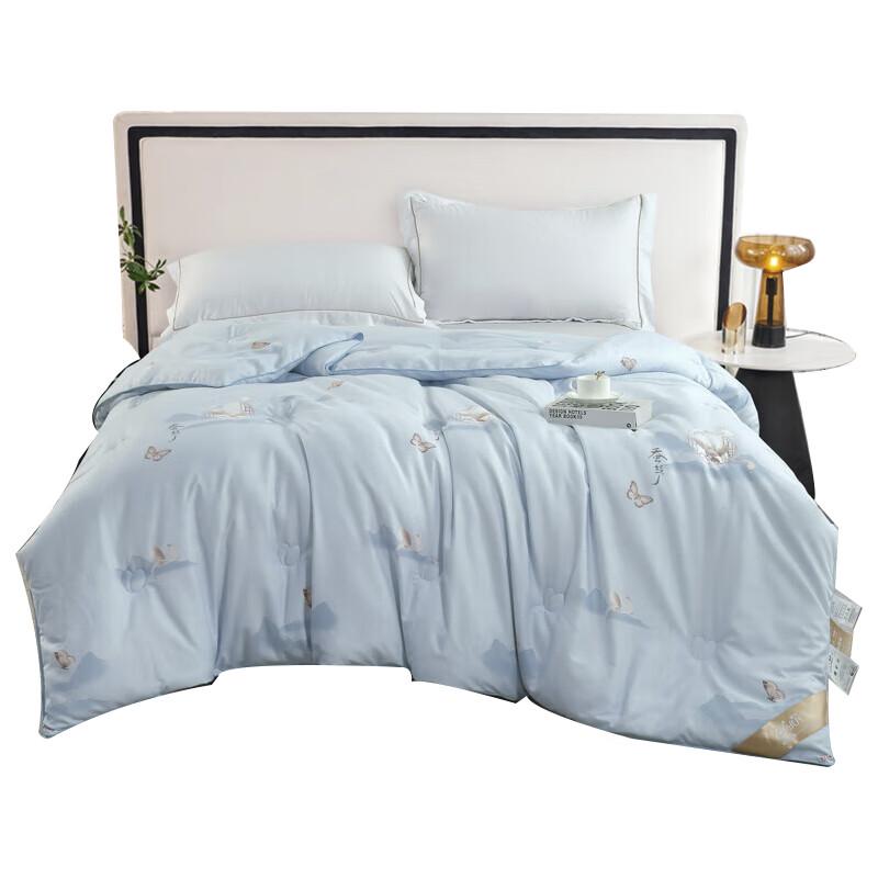 

Huaxia Shengjin Jiangnan Water Rhyme Silk Blend Quilt