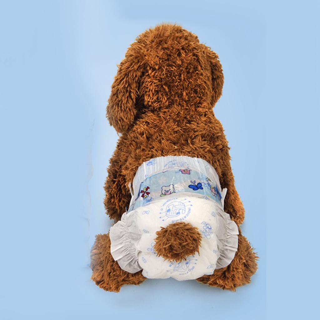 cvs dog diapers