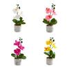 Artificial Orchid Flowers Potted Flowers Artificial Flowers Artificial Phalaenopsis Artificial