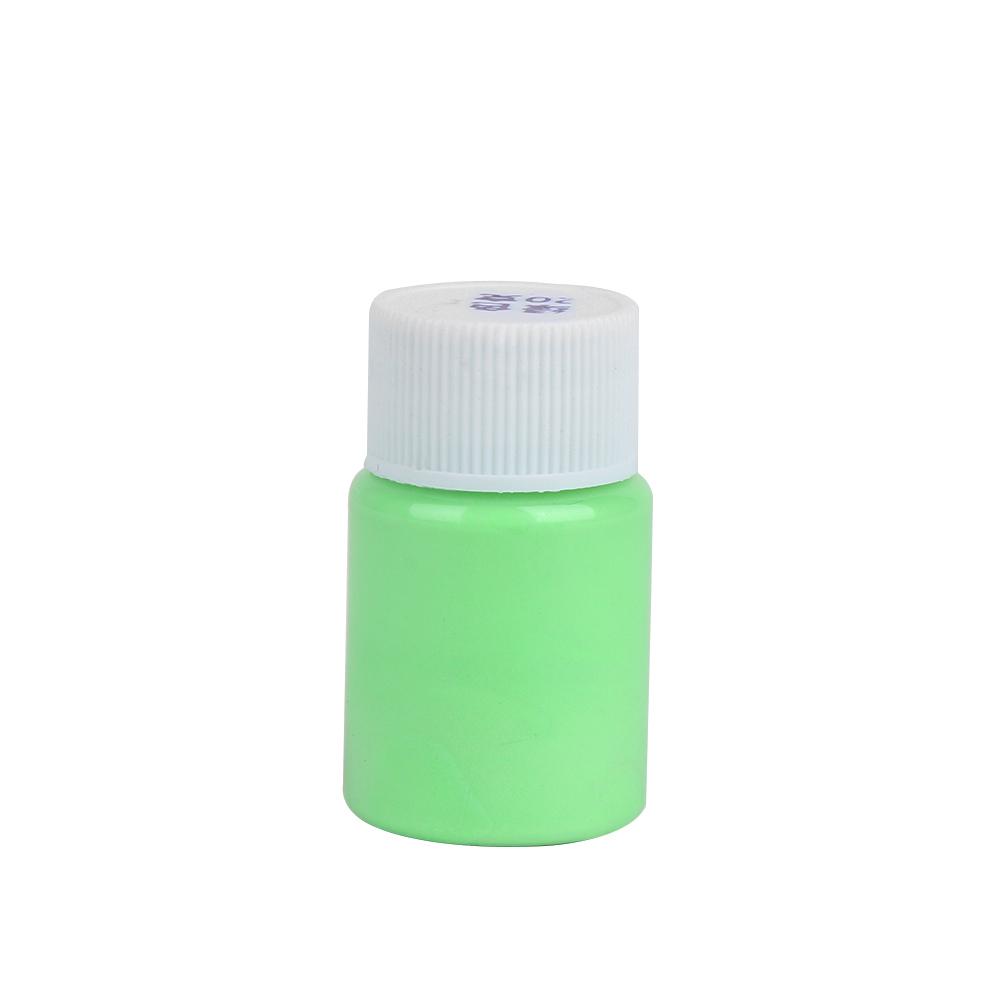 20g Cool DIY Craft Party Glow In The Dark Pigment Acrylic Luminous Paint