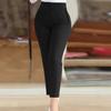 Popular Spring and Summer Casual Slim Workplace Trousers Elastic Cone Nine-Point Temperament Commuter Pants Women