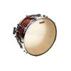 EVANS Strata 1000 Concert Snare Head, 14" (CT14S) [Official Japanese Product]