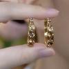 Exquisite Brown Zircon Circle Earrings For Women Fashion Personalized Daily Accessory Party Jewelry Birthday Anniversary Gifts