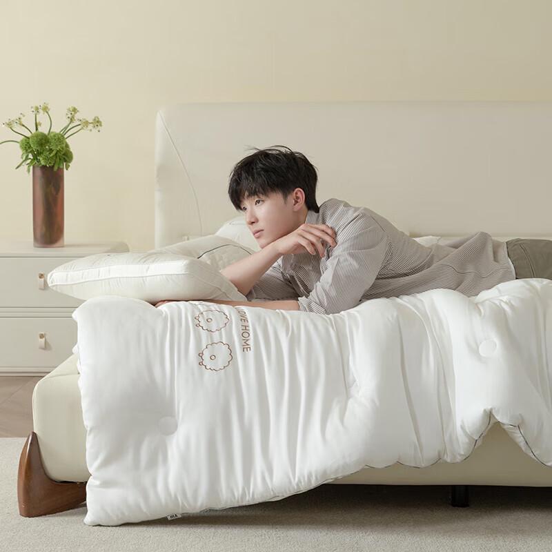 HLA Home All-Season Thickened Warm Quilt