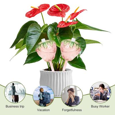 Bulbi autoirriganti per piante da interno Globi per l'irrigazione di piante a forma di fungo Inserto per fioriera Bulbi per l'irrigazione di fragole per giardinieri domestici impegnati Piante in vaso